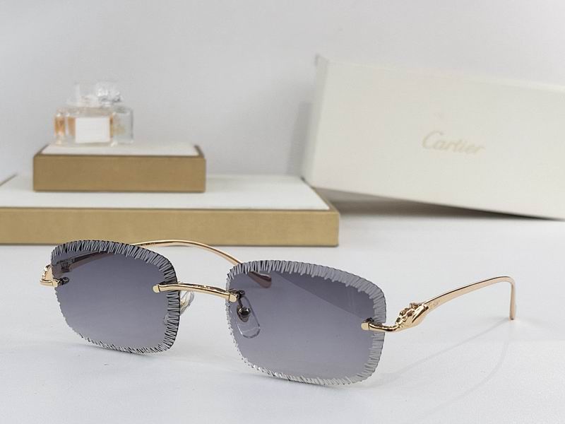 Cartier Glasses smr304